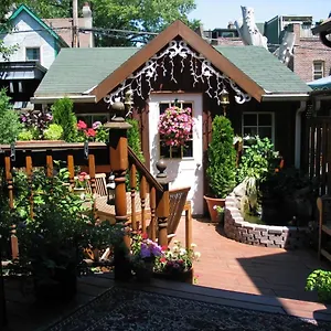 A Seaton Dream 2*, Toronto Canada